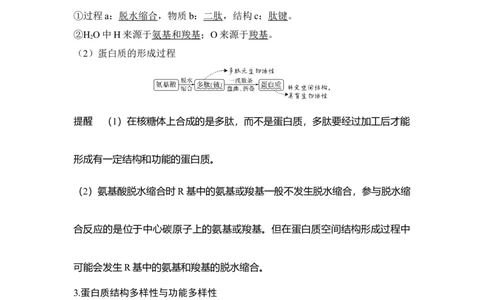 第3讲蛋白质和核酸_通用版（老高考）复习资料_2023年复习资料_一轮复习_2023年高考生物一轮复习讲义+课件（全国版）_2023年高考生物一轮复习讲义（全国版）_赠补充习题