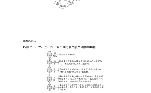 第3讲蛋白质和核酸_通用版（老高考）复习资料_2023年复习资料_一轮复习_2023年高考生物一轮复习讲义+课件（全国版）_2023年高考生物一轮复习讲义（全国版）_赠补充习题