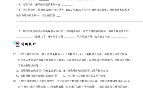 第1讲组成细胞的元素和化合物（检测）（原卷版）_新高考复习资料_2023年新高考复习资料_二轮复习_2023年高考生物二轮复习讲练测（新教材专用）