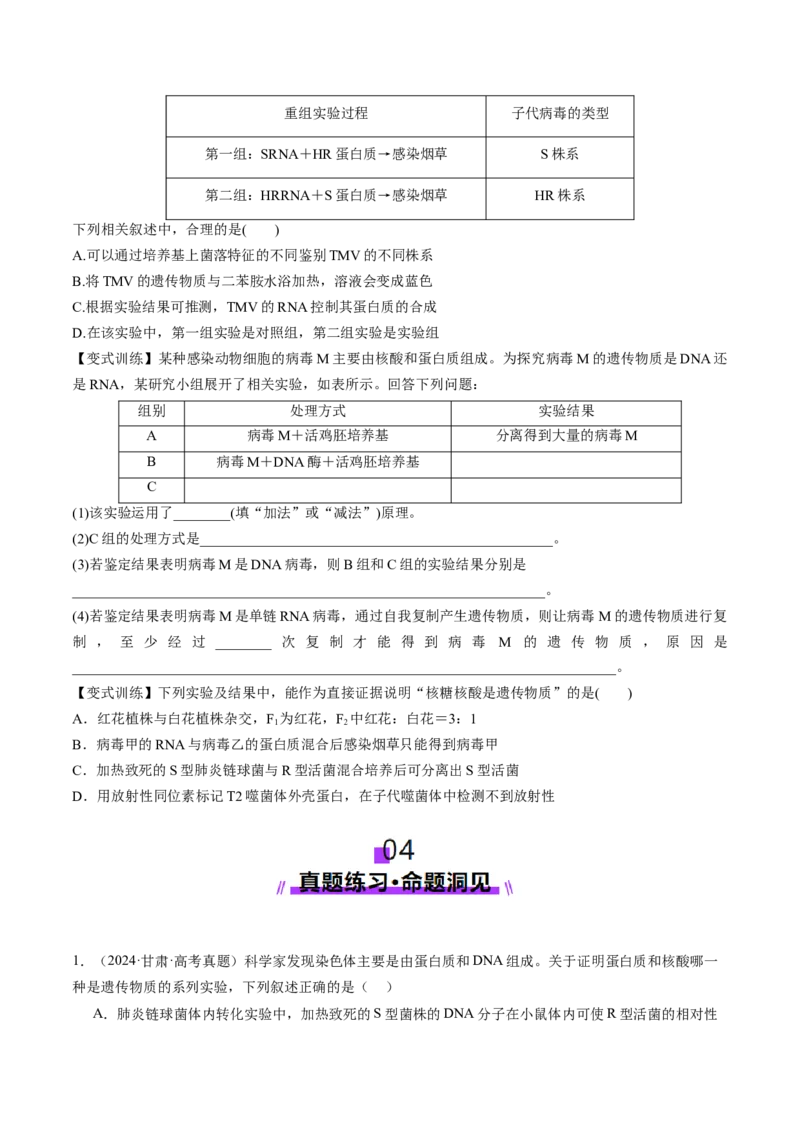 第19讲DNA是主要的遗传物质（讲义）（原卷版）_2025年新高考资料_一轮复习_2025年高考生物一轮复习讲练测（新教材新高考）