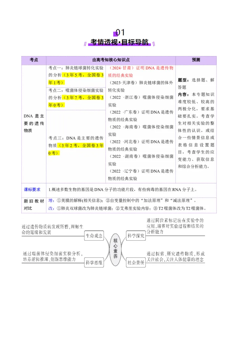 第19讲DNA是主要的遗传物质（讲义）（原卷版）_2025年新高考资料_一轮复习_2025年高考生物一轮复习讲练测（新教材新高考）