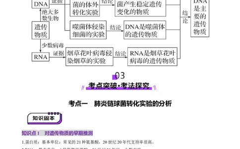 第19讲DNA是主要的遗传物质（讲义）（原卷版）_2025年新高考资料_一轮复习_2025年高考生物一轮复习讲练测（新教材新高考）