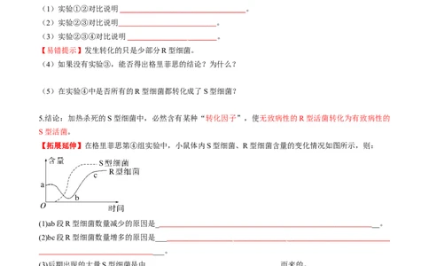 第19讲DNA是主要的遗传物质（讲义）（原卷版）_2025年新高考资料_一轮复习_2025年高考生物一轮复习讲练测（新教材新高考）