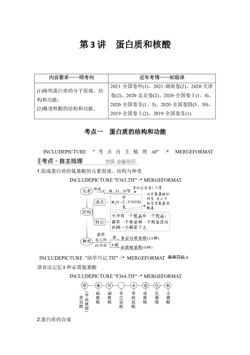 第3讲蛋白质和核酸_新高考复习资料_2024年新高考复习资料_一轮复习资料_完2024生物步步高大一轮复习（课件+讲义）_2024年高考生物一轮复习讲义（新人教版）_另附1套Word版题库_必修1