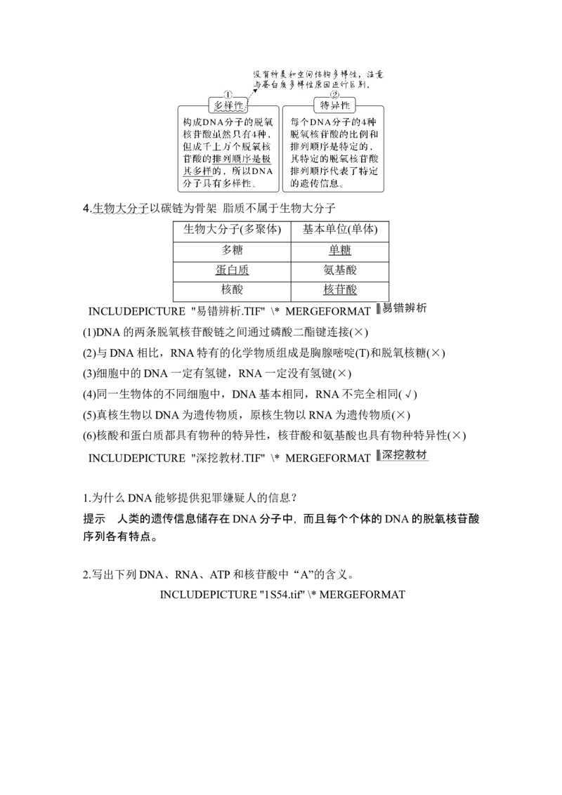 第3讲蛋白质和核酸_新高考复习资料_2024年新高考复习资料_一轮复习资料_完2024生物步步高大一轮复习（课件+讲义）_2024年高考生物一轮复习讲义（新人教版）_另附1套Word版题库_必修1