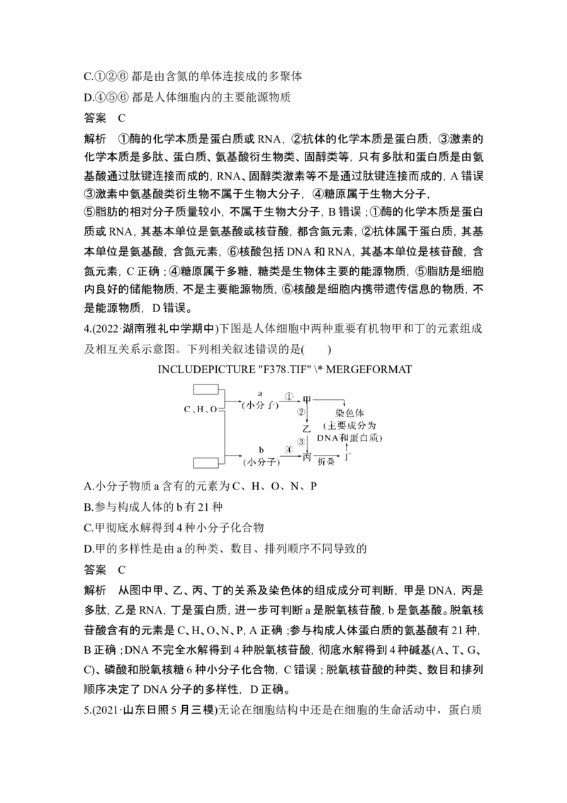 第3讲蛋白质和核酸_新高考复习资料_2024年新高考复习资料_一轮复习资料_完2024生物步步高大一轮复习（课件+讲义）_2024年高考生物一轮复习讲义（新人教版）_另附1套Word版题库_必修1