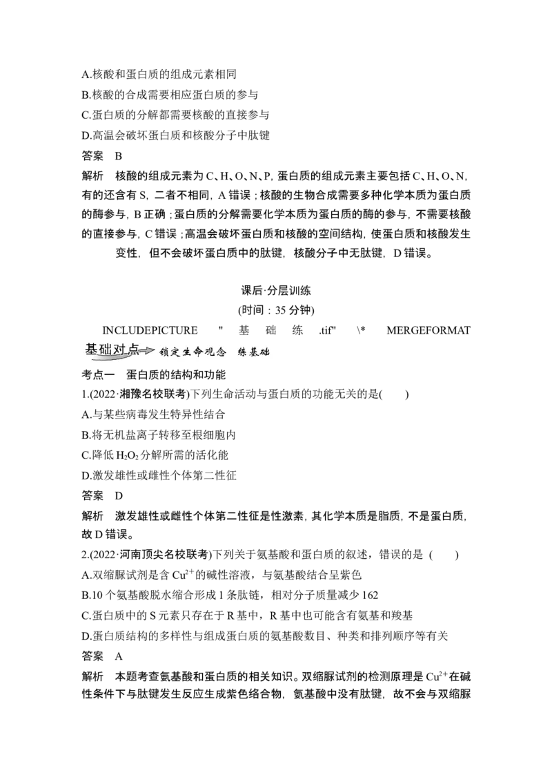 第3讲蛋白质和核酸_新高考复习资料_2024年新高考复习资料_一轮复习资料_完2024生物步步高大一轮复习（课件+讲义）_2024年高考生物一轮复习讲义（新人教版）_另附1套Word版题库_必修1