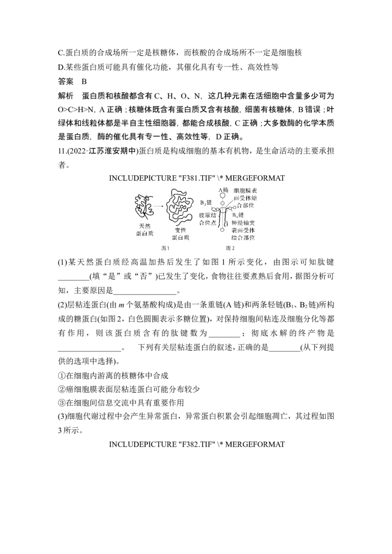 第3讲蛋白质和核酸_新高考复习资料_2024年新高考复习资料_一轮复习资料_完2024生物步步高大一轮复习（课件+讲义）_2024年高考生物一轮复习讲义（新人教版）_另附1套Word版题库_必修1