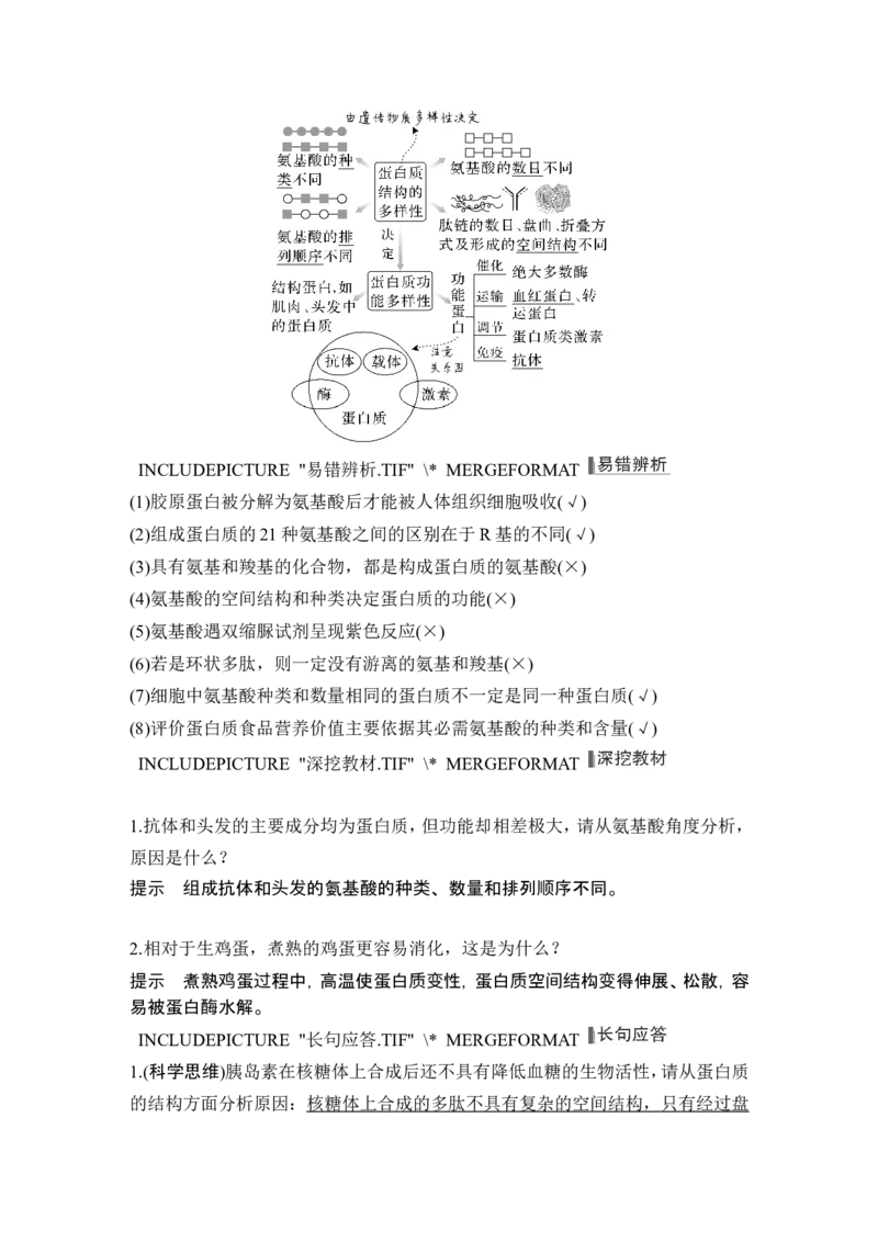 第3讲蛋白质和核酸_新高考复习资料_2024年新高考复习资料_一轮复习资料_完2024生物步步高大一轮复习（课件+讲义）_2024年高考生物一轮复习讲义（新人教版）_另附1套Word版题库_必修1