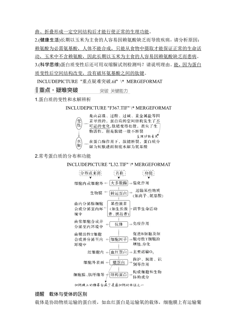 第3讲蛋白质和核酸_新高考复习资料_2024年新高考复习资料_一轮复习资料_完2024生物步步高大一轮复习（课件+讲义）_2024年高考生物一轮复习讲义（新人教版）_另附1套Word版题库_必修1