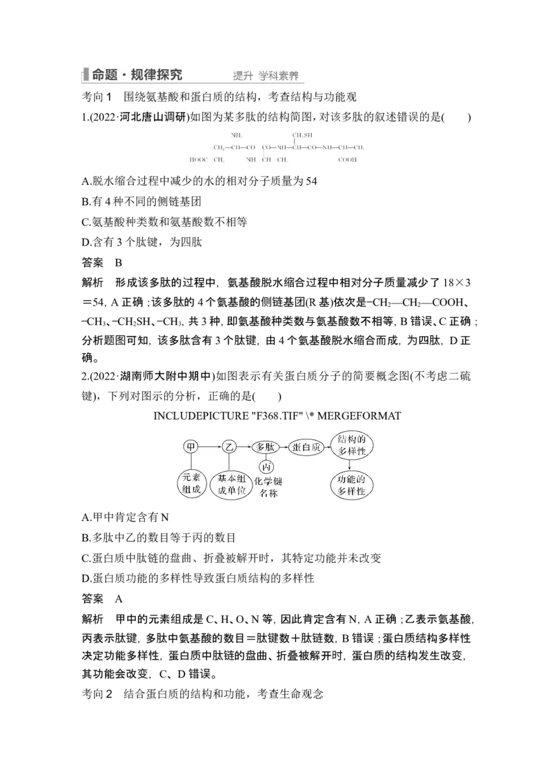 第3讲蛋白质和核酸_新高考复习资料_2024年新高考复习资料_一轮复习资料_完2024生物步步高大一轮复习（课件+讲义）_2024年高考生物一轮复习讲义（新人教版）_另附1套Word版题库_必修1