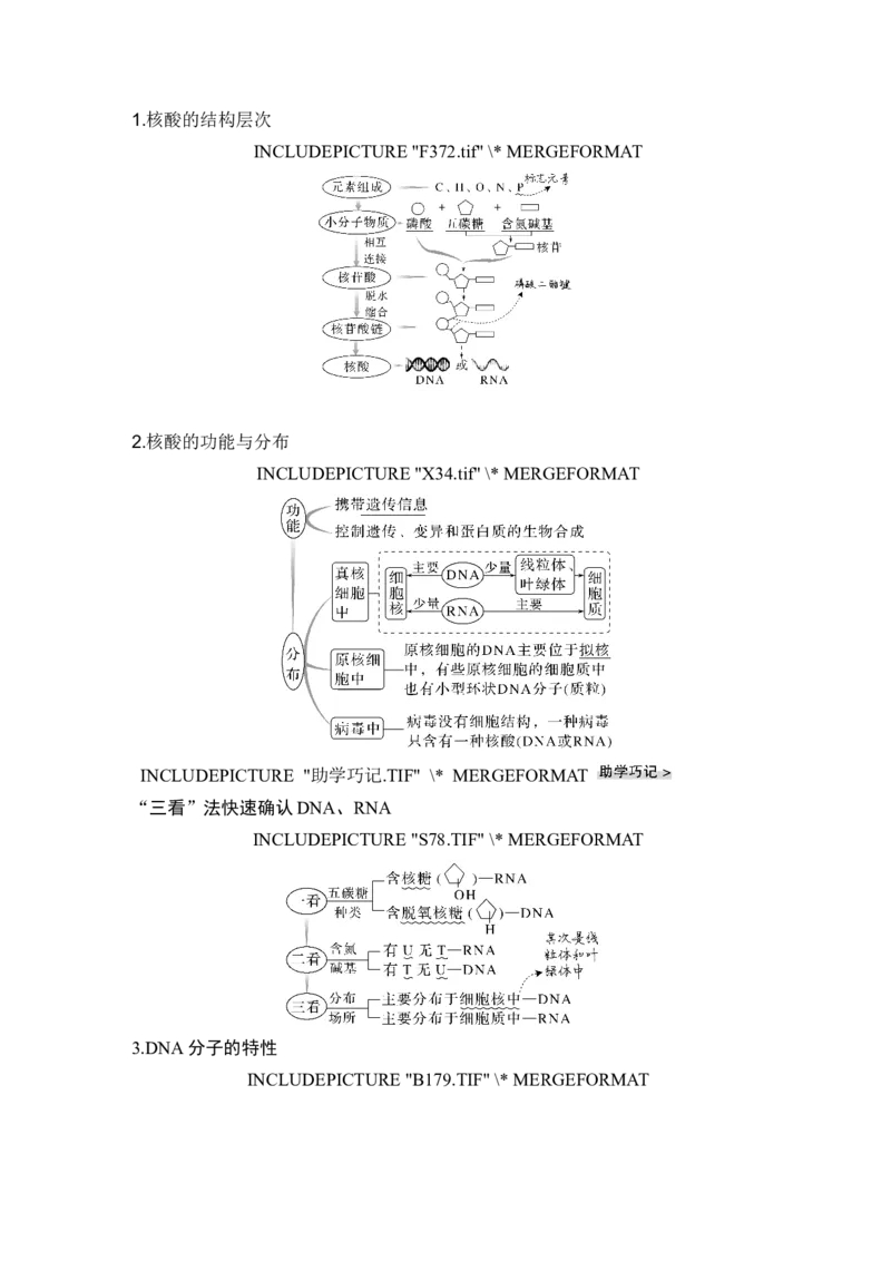 第3讲蛋白质和核酸_新高考复习资料_2024年新高考复习资料_一轮复习资料_完2024生物步步高大一轮复习（课件+讲义）_2024年高考生物一轮复习讲义（新人教版）_另附1套Word版题库_必修1