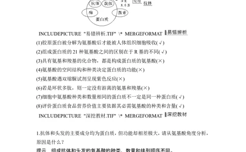 第3讲蛋白质和核酸_新高考复习资料_2024年新高考复习资料_一轮复习资料_完2024生物步步高大一轮复习（课件+讲义）_2024年高考生物一轮复习讲义（新人教版）_另附1套Word版题库_必修1