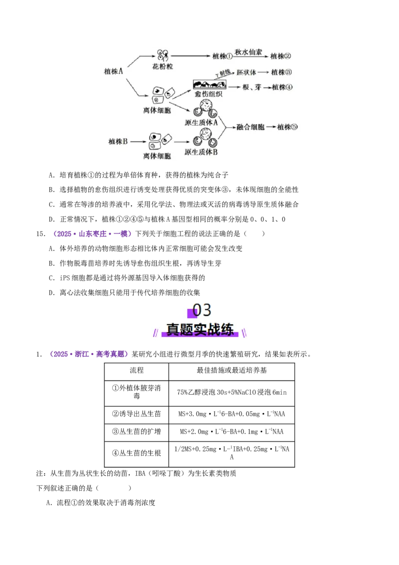 第17讲+细胞工程（专项训练，4大题型）（原卷版）_2025年新高考资料_二轮复习_01高考语文等多个文件_上好课2025年高考生物二轮复习讲练测（新高考通用）