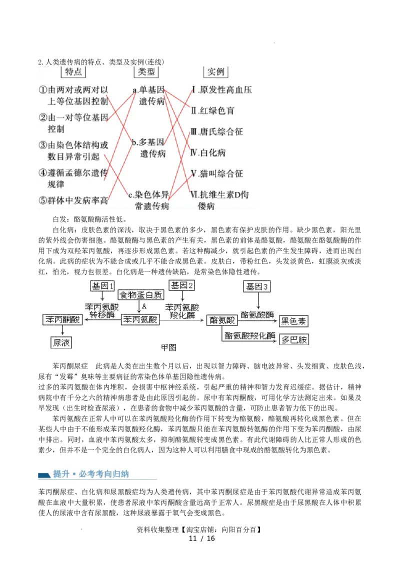 第18讲伴性遗传和人类遗传病（讲义）（学生版）_新高考复习资料_2024年新高考复习资料_一轮复习资料_完2024年高考生物一轮复习讲练测(课件+讲义+练习)（新高考）_讲义+练习