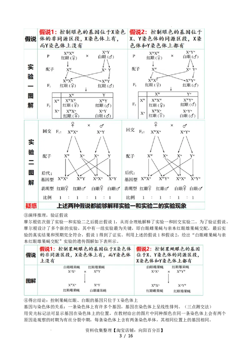 第18讲伴性遗传和人类遗传病（讲义）（学生版）_新高考复习资料_2024年新高考复习资料_一轮复习资料_完2024年高考生物一轮复习讲练测(课件+讲义+练习)（新高考）_讲义+练习