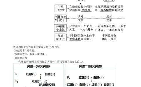 第18讲伴性遗传和人类遗传病（讲义）（学生版）_新高考复习资料_2024年新高考复习资料_一轮复习资料_完2024年高考生物一轮复习讲练测(课件+讲义+练习)（新高考）_讲义+练习