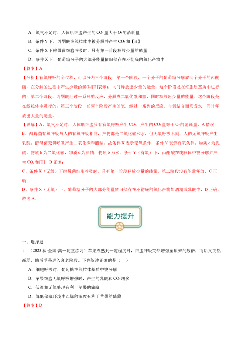 第3讲细胞呼吸（解析版）_通用版（老高考）复习资料_2024年复习资料_完备战2024年高考生物一轮复习考点帮（全国通用）_专题四细胞的能量供应和利用