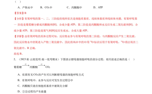 第3讲细胞呼吸（解析版）_通用版（老高考）复习资料_2024年复习资料_完备战2024年高考生物一轮复习考点帮（全国通用）_专题四细胞的能量供应和利用