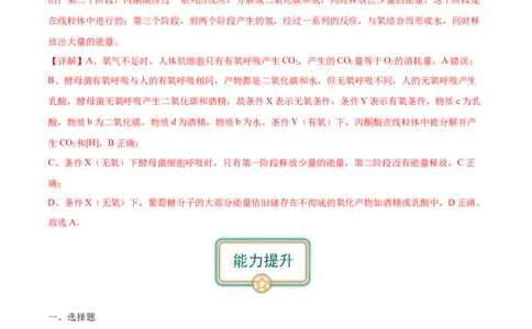 第3讲细胞呼吸（解析版）_通用版（老高考）复习资料_2024年复习资料_完备战2024年高考生物一轮复习考点帮（全国通用）_专题四细胞的能量供应和利用