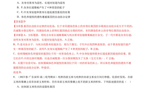 第17.1讲基因的自由组合定律（练习）（解析版）_新高考复习资料_2024年新高考复习资料_一轮复习资料_完2024年高考生物一轮复习讲练测(课件+讲义+练习)（新高考）_讲义+练习