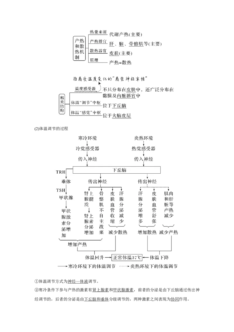 第22讲　人体内环境稳态及实例_新高考复习资料_2023年新高考复习资料_一轮复习_2023年新高考大一轮复习讲义_2023年高考生物一轮复习讲义（新人教新高考）_赠补充习题