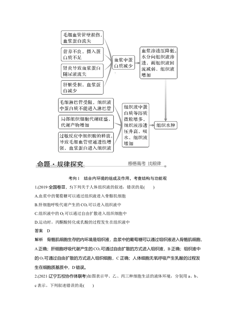 第22讲　人体内环境稳态及实例_新高考复习资料_2023年新高考复习资料_一轮复习_2023年新高考大一轮复习讲义_2023年高考生物一轮复习讲义（新人教新高考）_赠补充习题