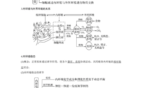 第22讲　人体内环境稳态及实例_新高考复习资料_2023年新高考复习资料_一轮复习_2023年新高考大一轮复习讲义_2023年高考生物一轮复习讲义（新人教新高考）_赠补充习题