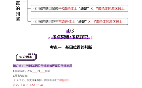 第18讲遗传综合实验分析（讲义）（原卷版）_2025年新高考资料_一轮复习_2025年高考生物一轮复习讲练测（新教材新高考）
