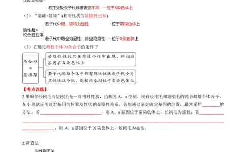第18讲遗传综合实验分析（讲义）（原卷版）_2025年新高考资料_一轮复习_2025年高考生物一轮复习讲练测（新教材新高考）