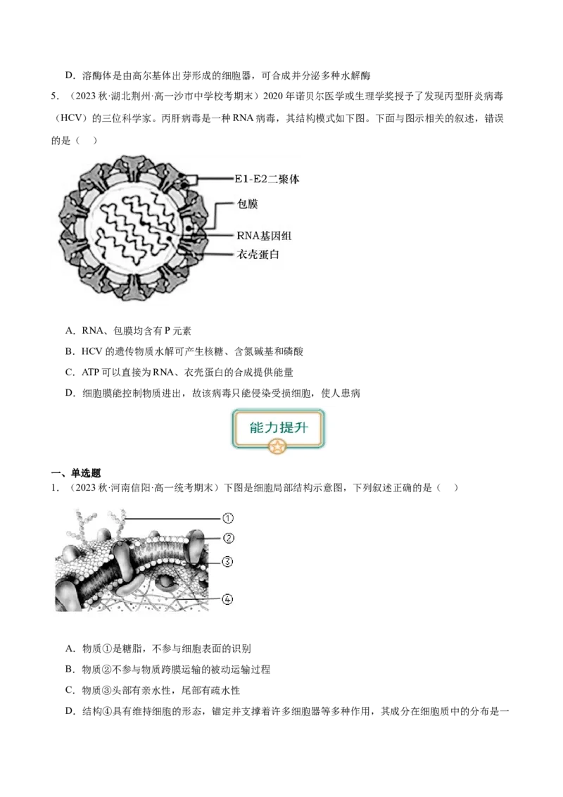 第1讲细胞膜的结构和功能（原卷版）_通用版（老高考）复习资料_2024年复习资料_完备战2024年高考生物一轮复习考点帮（全国通用）_专题三细胞的基本结构和物质的运输