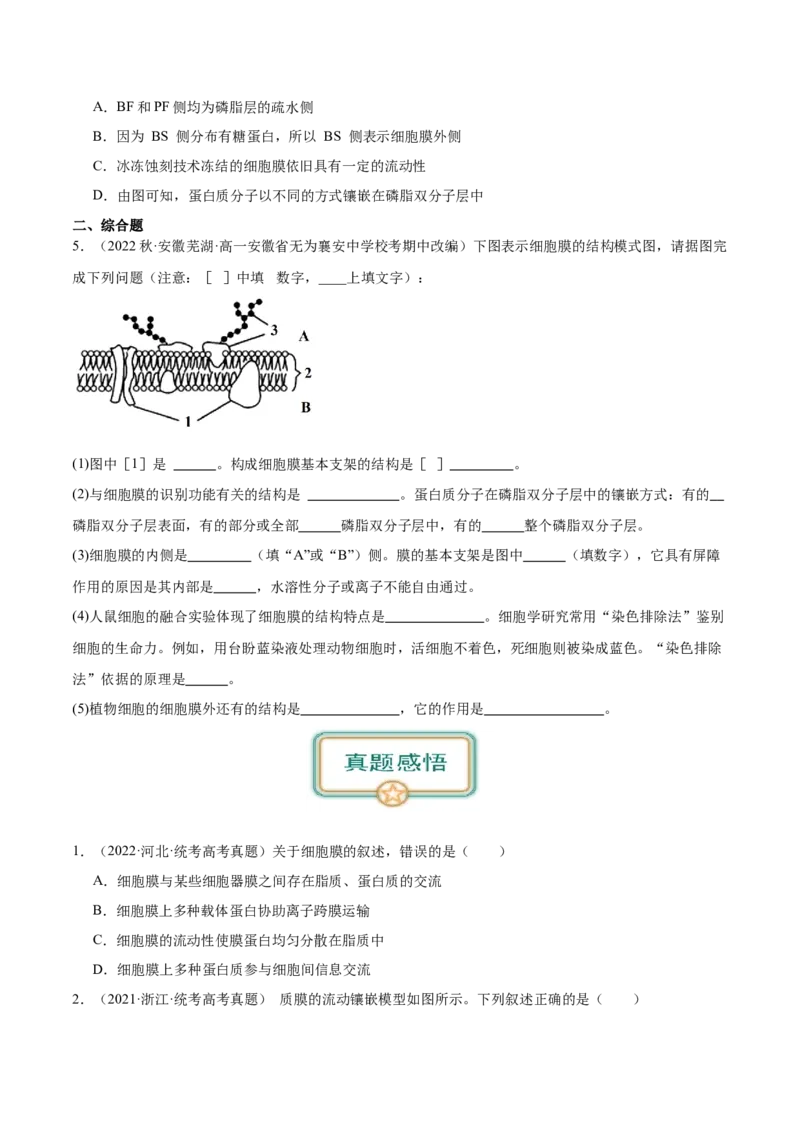 第1讲细胞膜的结构和功能（原卷版）_通用版（老高考）复习资料_2024年复习资料_完备战2024年高考生物一轮复习考点帮（全国通用）_专题三细胞的基本结构和物质的运输