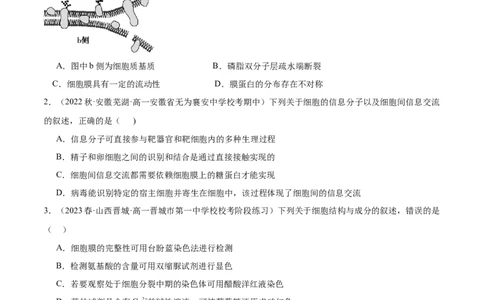 第1讲细胞膜的结构和功能（原卷版）_通用版（老高考）复习资料_2024年复习资料_完备战2024年高考生物一轮复习考点帮（全国通用）_专题三细胞的基本结构和物质的运输