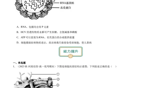 第1讲细胞膜的结构和功能（原卷版）_通用版（老高考）复习资料_2024年复习资料_完备战2024年高考生物一轮复习考点帮（全国通用）_专题三细胞的基本结构和物质的运输