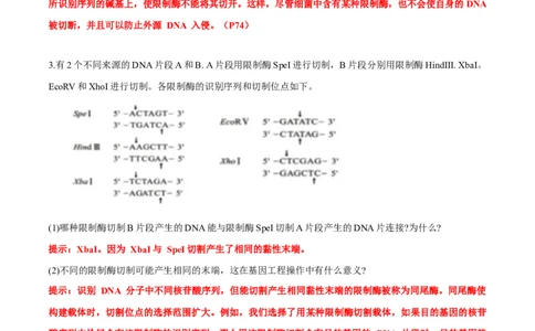 第3章基因工程-查漏补缺2023年高考生物一轮复习教材必背细节与旁栏思考梳理汇总（新教材）（答案版）_新高考复习资料_2023年新高考复习资料_一轮复习