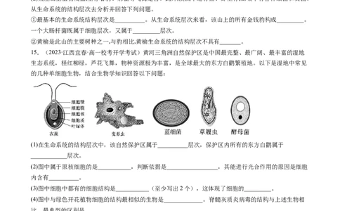 第1讲走近细胞（练习）（原卷版）_新高考复习资料_2024年新高考复习资料_一轮复习资料_完2024年高考生物一轮复习讲练测(课件+讲义+练习)（新高考）_讲义+练习