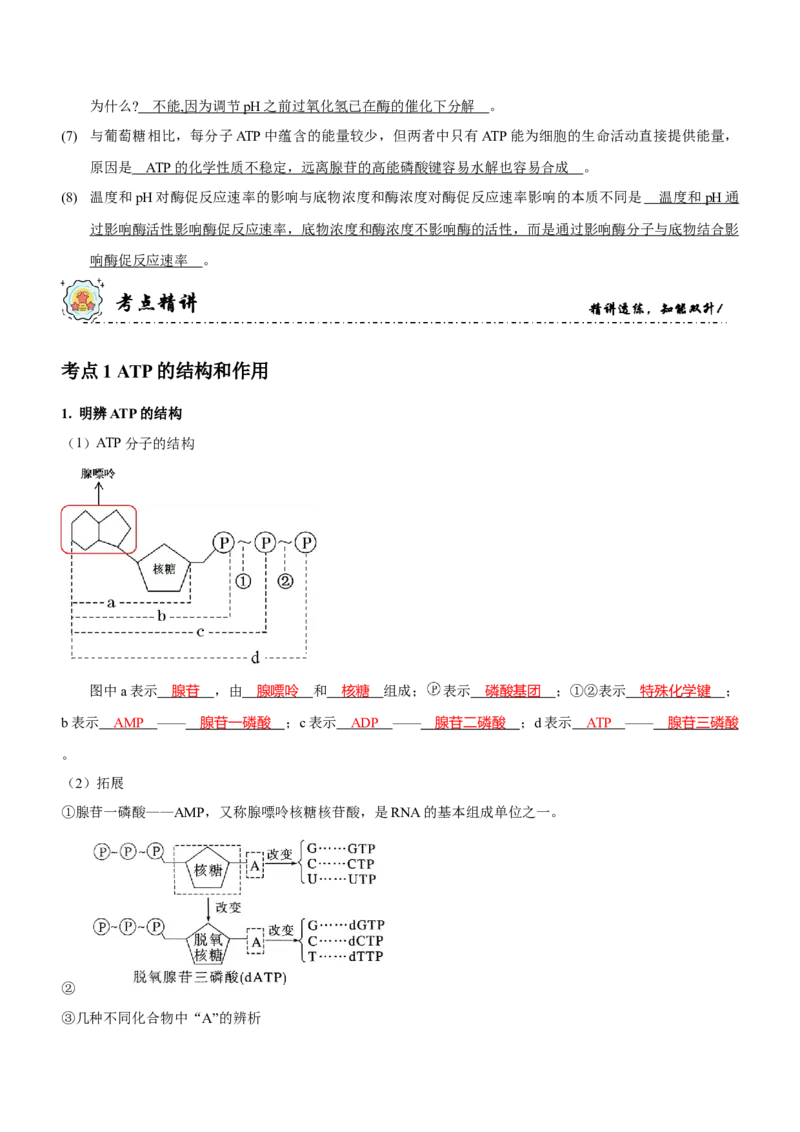 第3讲酶和ATP（讲练）（解析版）_新高考复习资料_2023年新高考复习资料_二轮复习_2023年高考生物二轮复习讲练测（新教材专用）