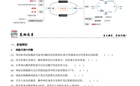 第3讲酶和ATP（讲练）（解析版）_新高考复习资料_2023年新高考复习资料_二轮复习_2023年高考生物二轮复习讲练测（新教材专用）