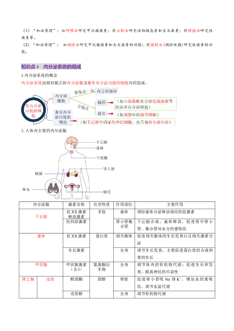 第26讲体液调节（讲义）（解析版）_2025年新高考资料_一轮复习_2025年高考生物一轮复习讲练测（新教材新高考）