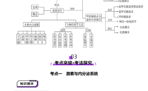 第26讲体液调节（讲义）（解析版）_2025年新高考资料_一轮复习_2025年高考生物一轮复习讲练测（新教材新高考）