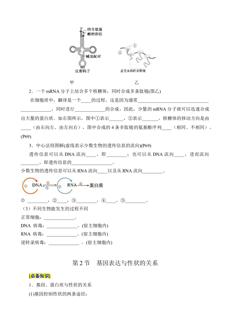 第4章基因的表达（填空版）_2025年新高考资料_专项复习_晨读晚默备战2025年高考生物必背知识清单_第4章基因的表达-晨读晚默备战2025年高考生物必背知识清单
