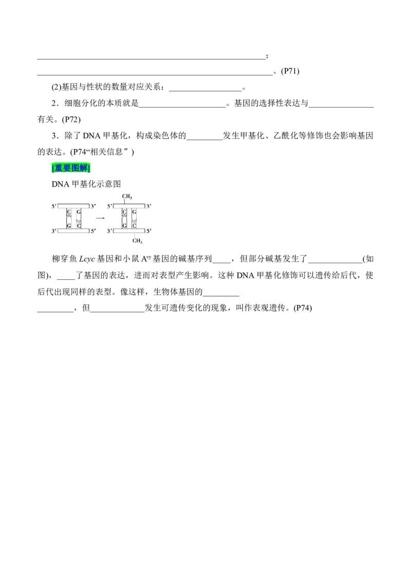 第4章基因的表达（填空版）_2025年新高考资料_专项复习_晨读晚默备战2025年高考生物必背知识清单_第4章基因的表达-晨读晚默备战2025年高考生物必背知识清单
