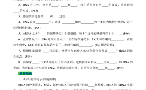 第4章基因的表达（填空版）_2025年新高考资料_专项复习_晨读晚默备战2025年高考生物必背知识清单_第4章基因的表达-晨读晚默备战2025年高考生物必背知识清单