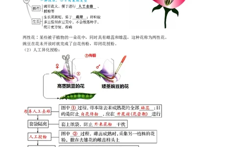 第15讲遗传的基础知识（讲义）（教师版）_新高考复习资料_2024年新高考复习资料_一轮复习资料_完2024年高考生物一轮复习讲练测(课件+讲义+练习)（新高考）_讲义+练习