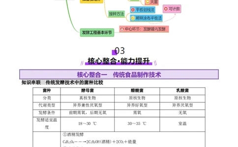 第16讲+发酵工程（讲义）（解析版）_2025年新高考资料_二轮复习_01高考语文等多个文件_上好课2025年高考生物二轮复习讲练测（新高考通用）