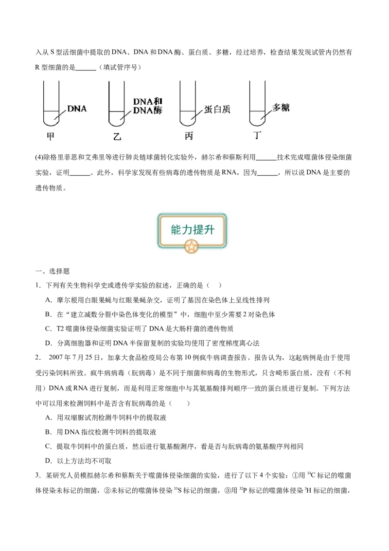 第1讲DNA是主要的遗传物质（原卷版）_通用版（老高考）复习资料_2024年复习资料_完备战2024年高考生物一轮复习考点帮（全国通用）_专题七遗传的物质基础