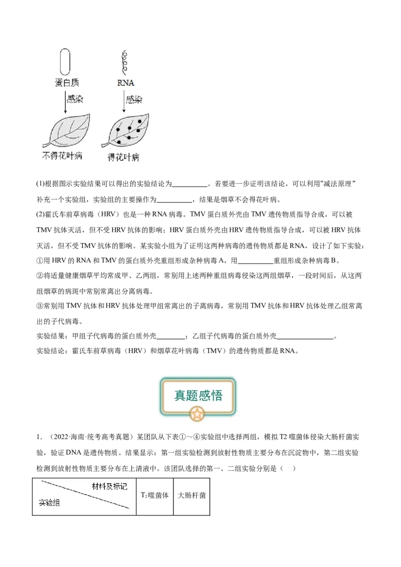 第1讲DNA是主要的遗传物质（原卷版）_通用版（老高考）复习资料_2024年复习资料_完备战2024年高考生物一轮复习考点帮（全国通用）_专题七遗传的物质基础