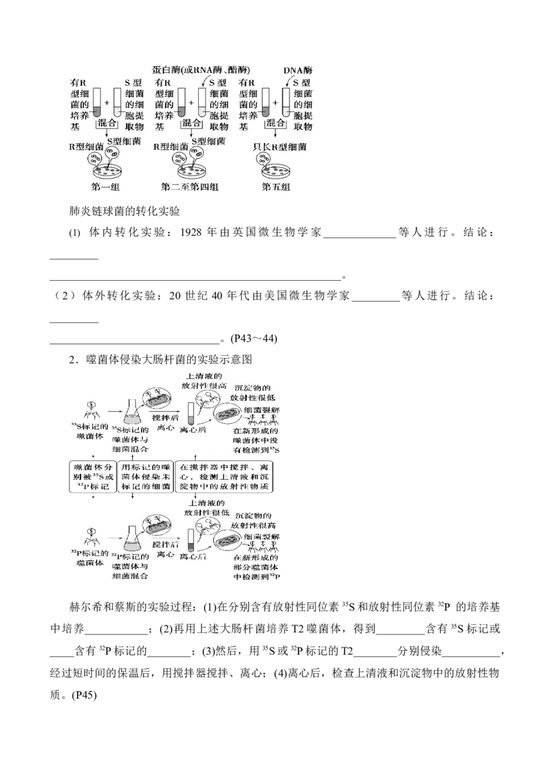 第3章基因的本质（填空版）_2025年新高考资料_专项复习_晨读晚默备战2025年高考生物必背知识清单_第3章基因的本质-晨读晚默备战2025年高考生物必背知识清单