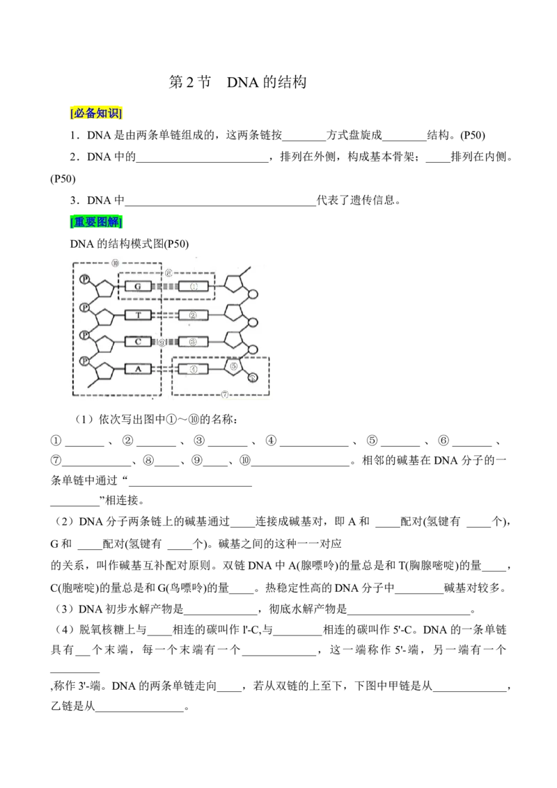 第3章基因的本质（填空版）_2025年新高考资料_专项复习_晨读晚默备战2025年高考生物必背知识清单_第3章基因的本质-晨读晚默备战2025年高考生物必背知识清单