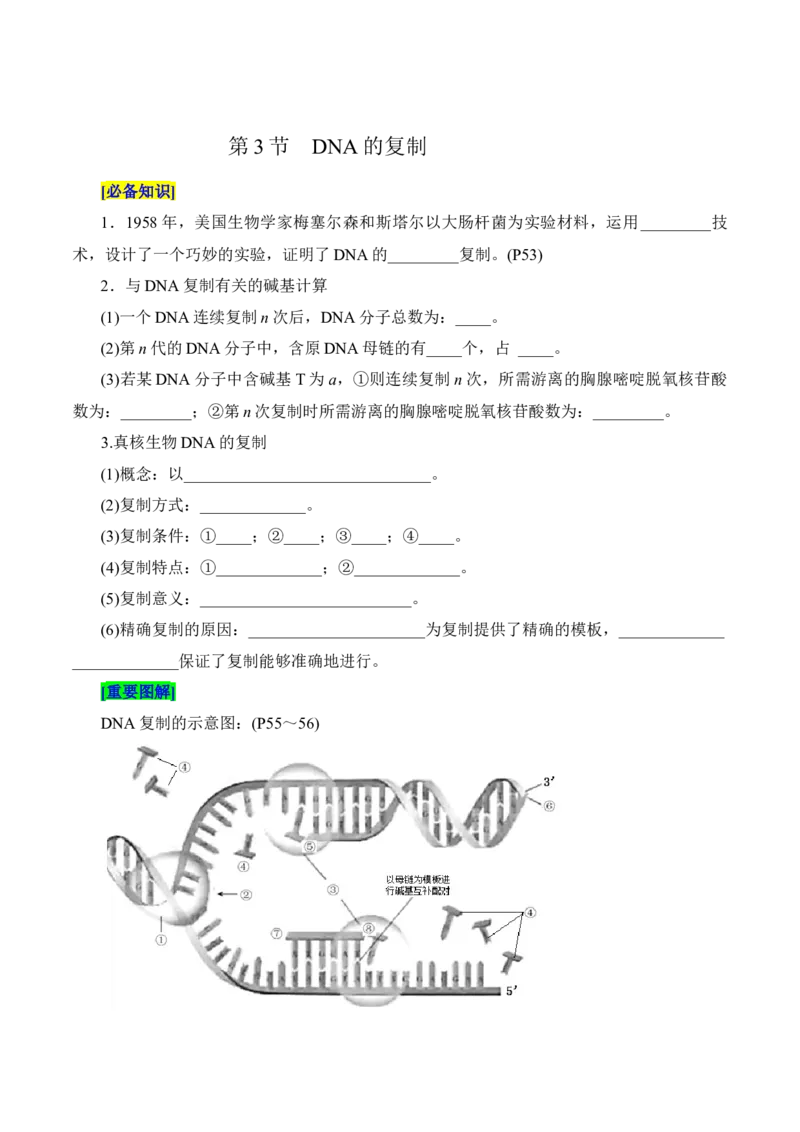 第3章基因的本质（填空版）_2025年新高考资料_专项复习_晨读晚默备战2025年高考生物必背知识清单_第3章基因的本质-晨读晚默备战2025年高考生物必背知识清单